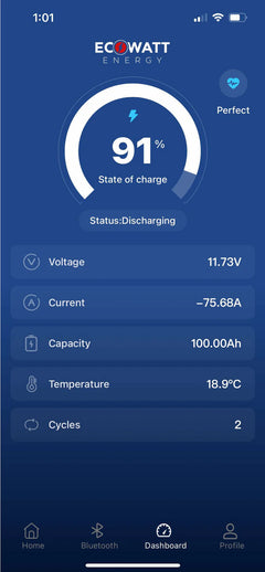 EcoStore 200Ah 12.8V LiFePO4 Battery - (EVE Cells) & (Bluetooth BMS - JBD)