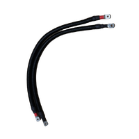 Exotronic Ikara Series Pre-wired Victron Board - Split